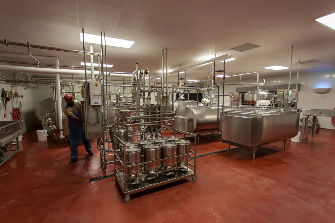 Stainless steel processing equipment in a hygienic dairy plant
